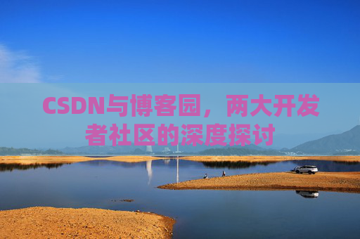 CSDN与博客园，两大开发者社区的深度探讨